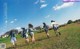 A group of young girls running across a field.